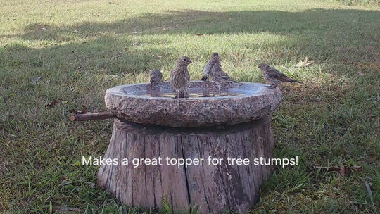 garden oasis used as a topper for tree stumps